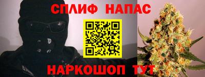 шишки Гагарин