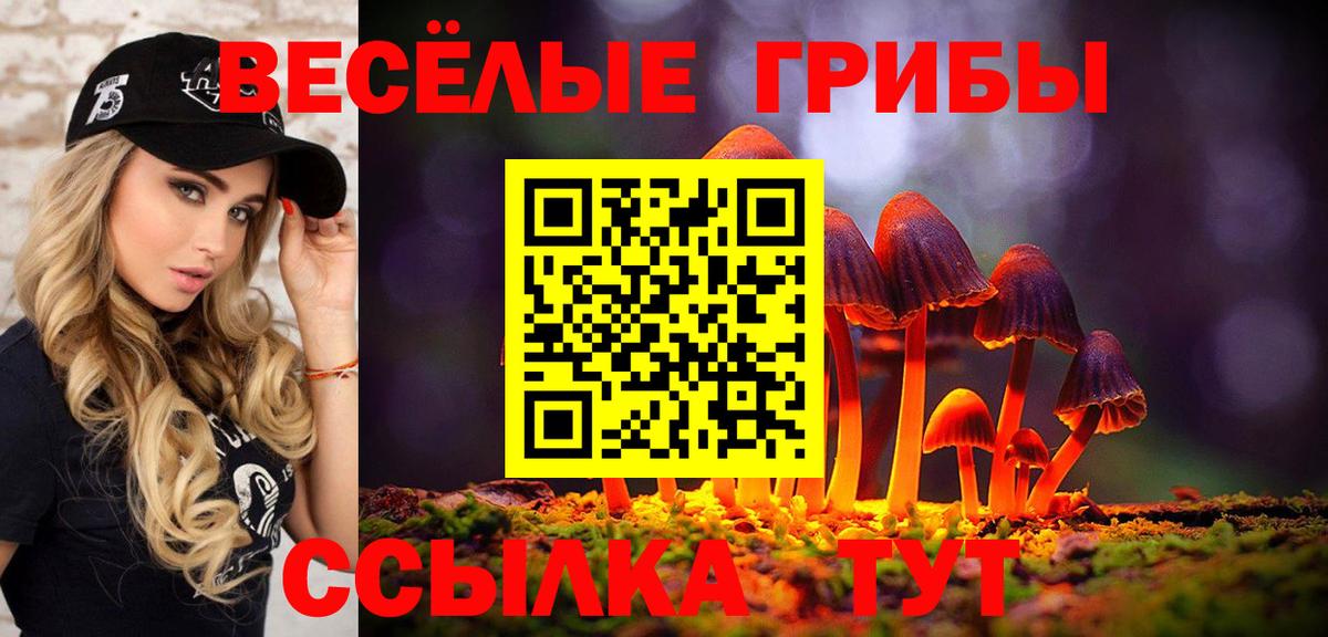 Подольск  купить наркотики цена  Вход с VPN  Псилоцибиновые грибы Psilocybine cubensis  Галлюциногенные грибы мицелий 